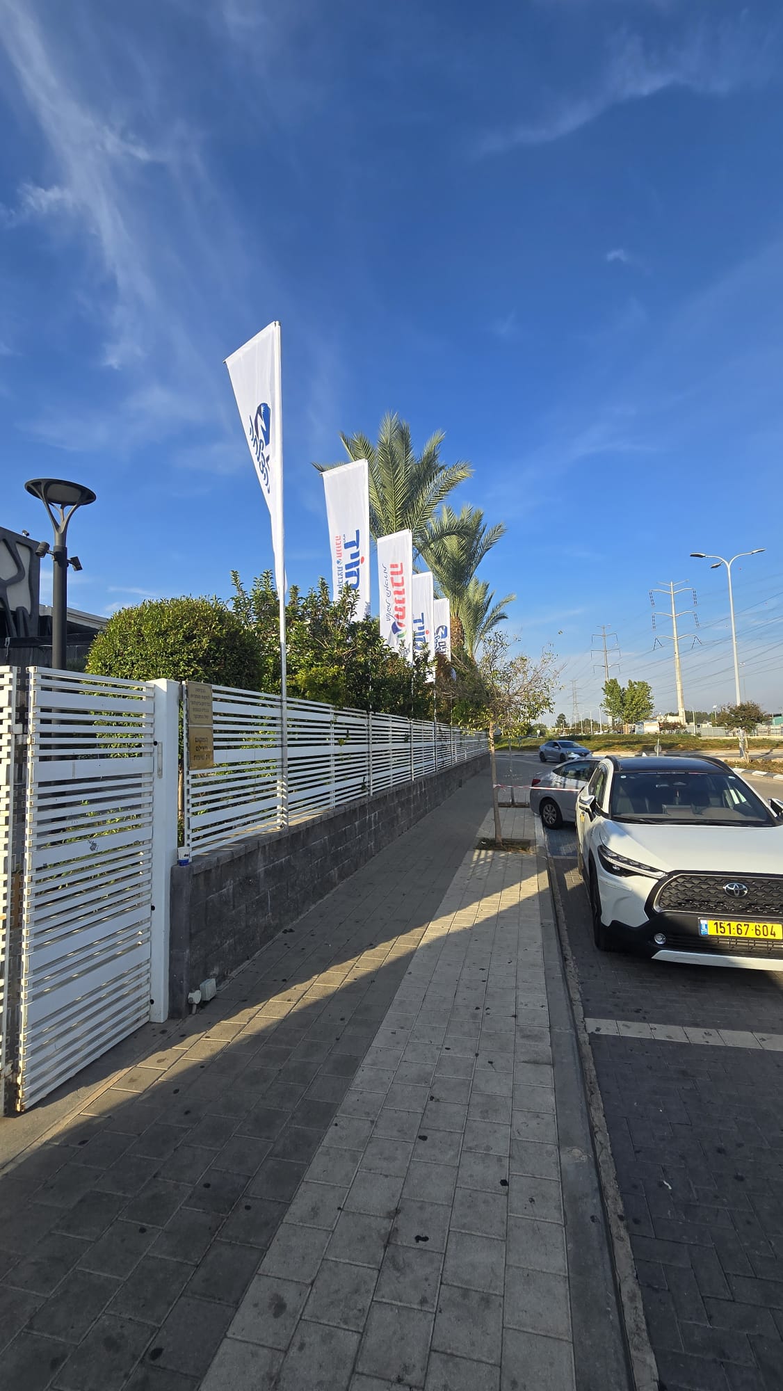 שורת דגלי נוצה בכניסה